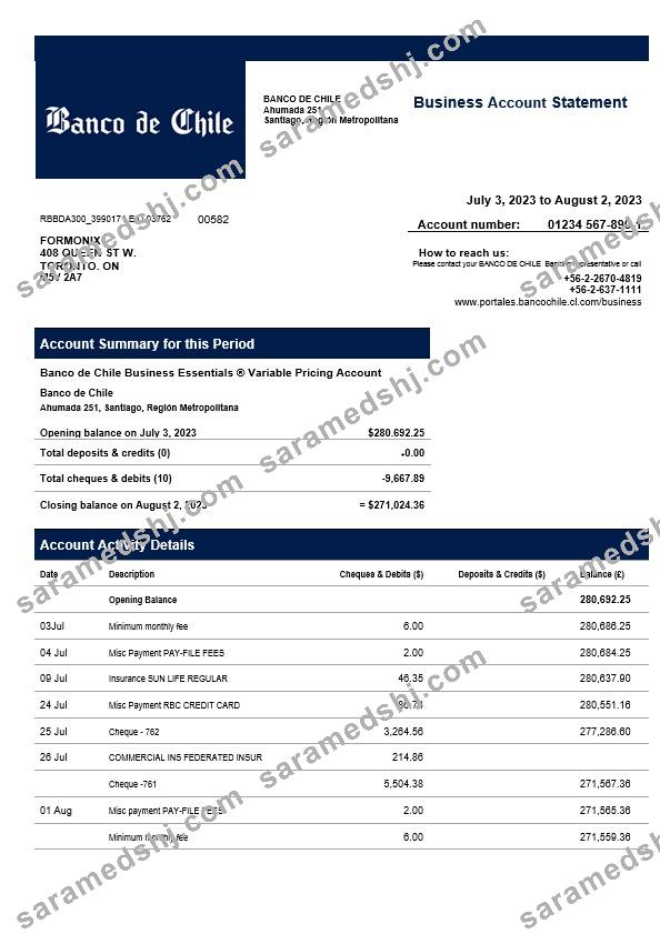 Banco de Chile organization statement Word and PDF template